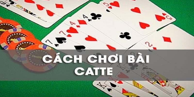 Hướng dẫn cách chơi bài Catte từng bước