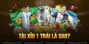 Tài Xỉu 1 Trái Là Sao? Hướng Dẫn Chi Tiết & Mẹo Cá Cược